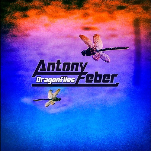 Antony Feber - Dragonflies [25]